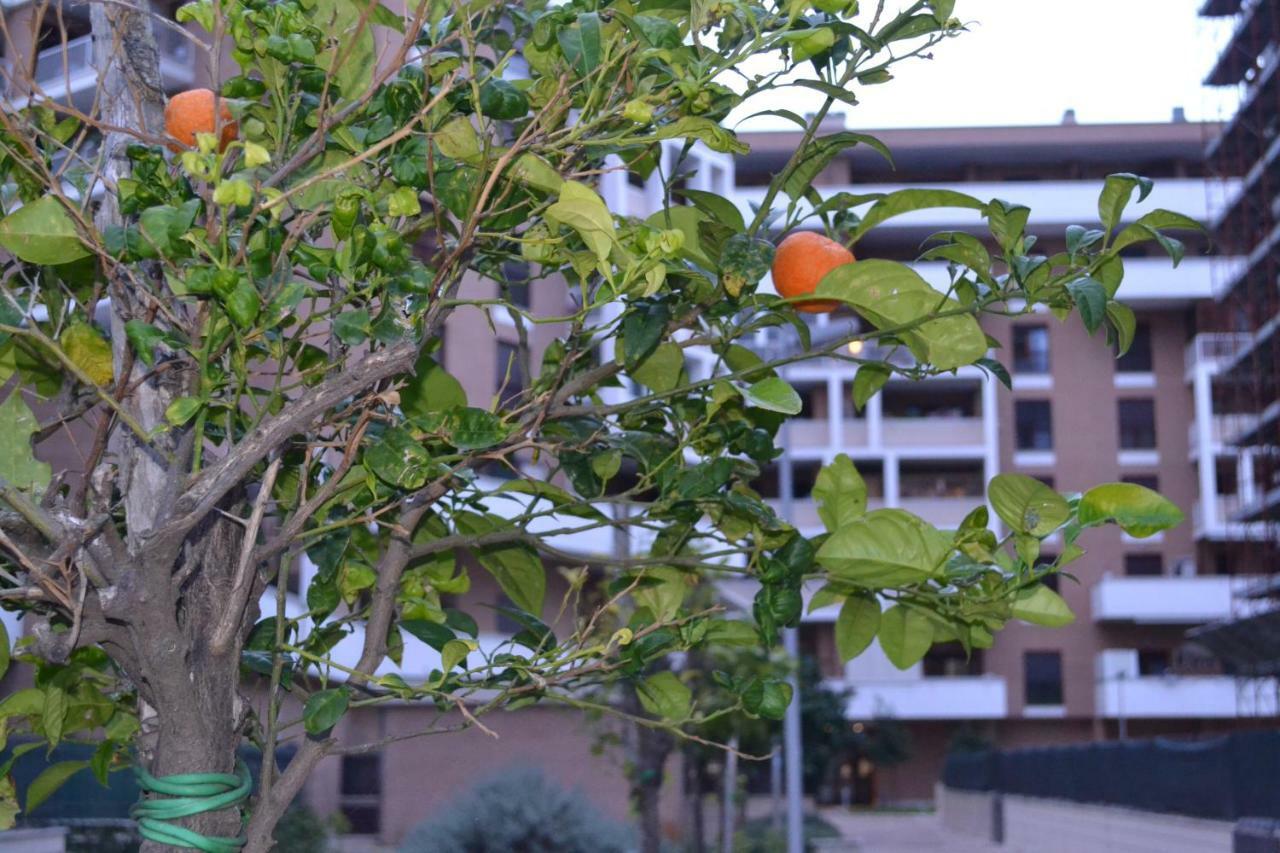 Airport & Fair Suite Apartments Fiumicino Exterior foto